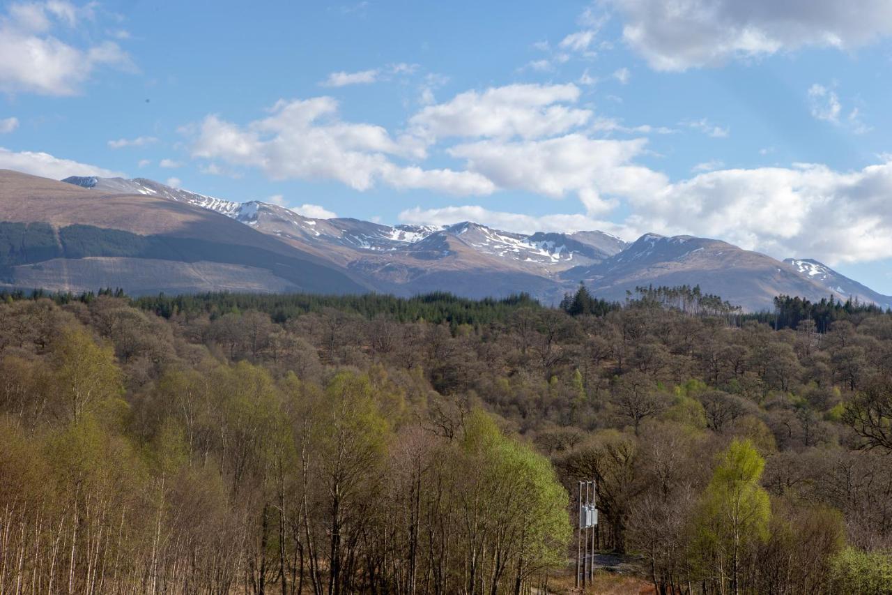 The Braes *
